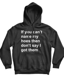 If You Can’t Name My Hoes Then Don’t Say I Got Them Hoodie