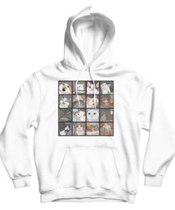 Compilation Crying Cat Meme Hoodie