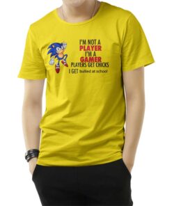 I'm Not Player I'm A Gamer Players Get Chicks I Get Bullied At School T-Shirt