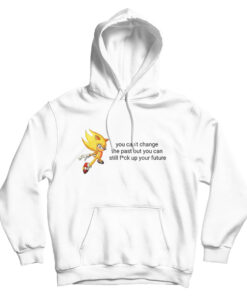 You Can’t Change The Past But You Can Still Fuck Up Your Future Hoodie