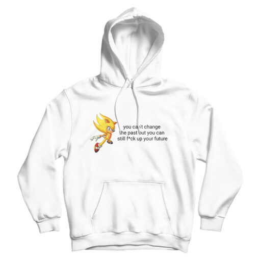 You Can’t Change The Past But You Can Still Fuck Up Your Future Hoodie