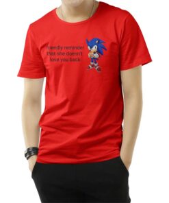 Friendly Reminder That She Doesn't Love You Back T-Shirt