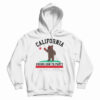 California Knows How To Party Hoodie