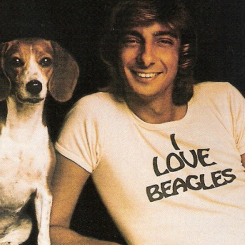 I Love Beagles T-Shirt