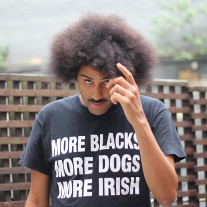 More Blacks More Dogs More Irish T-Shirt