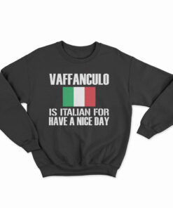 Vaffanculo Is Italian For Have A Nice Day Sweatshirt