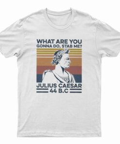 What Are You Gonna Do Stab Me Julius Caesar 44 Bc T-Shirt