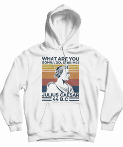 What Are You Gonna Do Stab Me Julius Caesar 44 Bc Hoodie