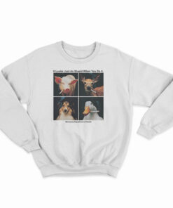 It Looks Just As Stupid When You Do It Sweatshirt