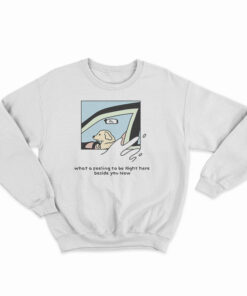 Dog Driver What A Feeling To Be Right Here Sweatshirt