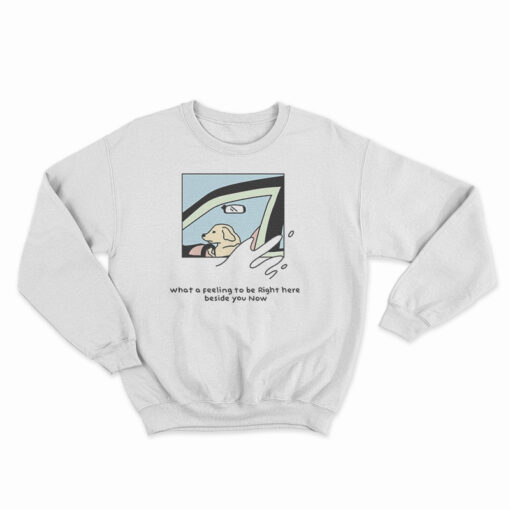 Dog Driver What A Feeling To Be Right Here Sweatshirt