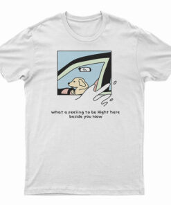 Dog Driver What A Feeling To Be Right Here T-Shirt
