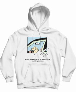 Dog Driver What A Feeling To Be Right Here Hoodie