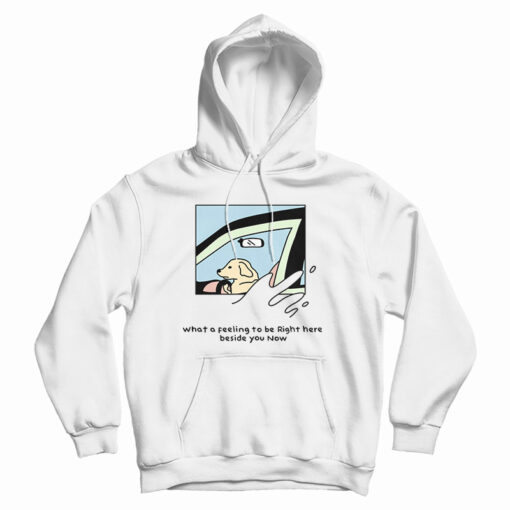 Dog Driver What A Feeling To Be Right Here Hoodie