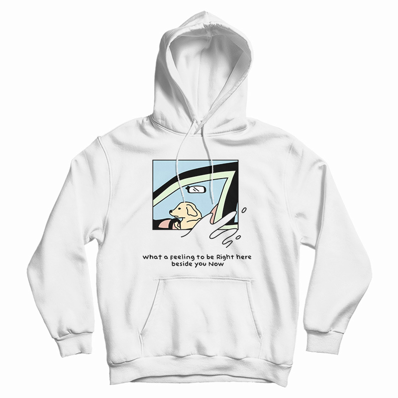 Dog Driver What A Feeling To Be Right Here Hoodie