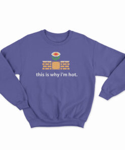 This Is Why I'm Hot Sweatshirt