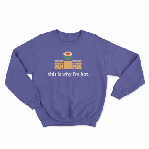 This Is Why I'm Hot Sweatshirt