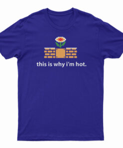 This Is Why I'm Hot T-Shirt