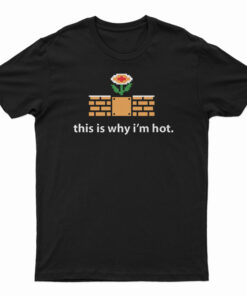 This Is Why I'm Hot T-Shirt