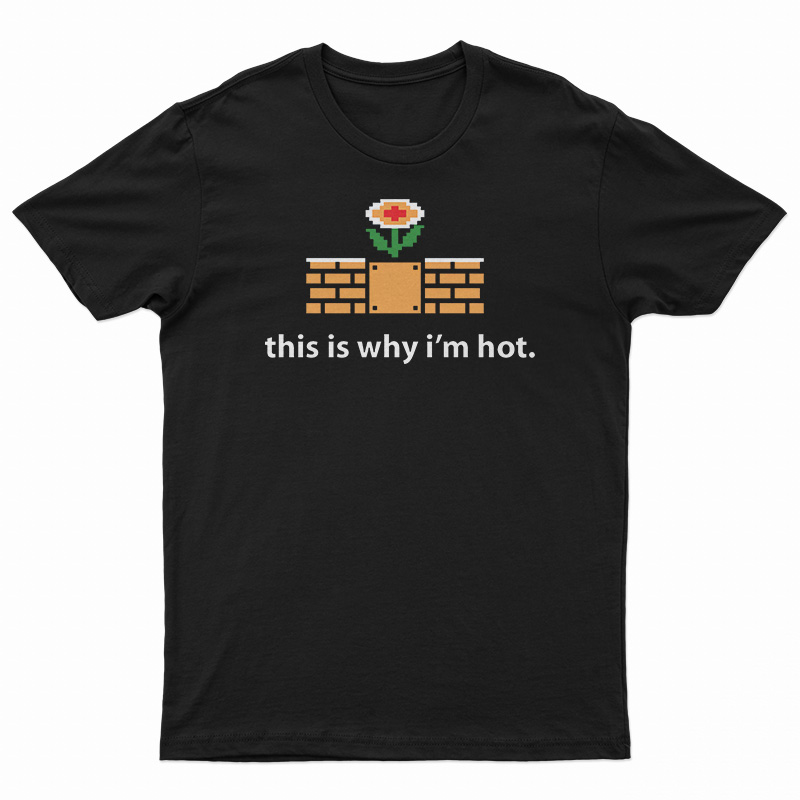 This Is Why I'm Hot T-Shirt