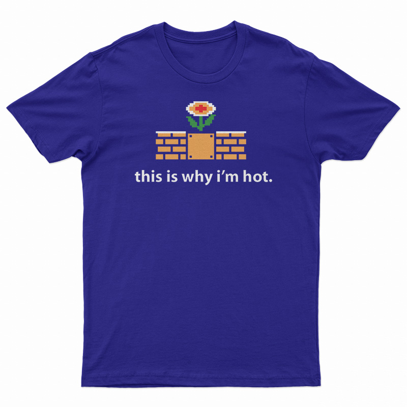 This Is Why I'm Hot T-Shirt