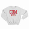 Concordia University Michigan CUM XXL Sweatshirt