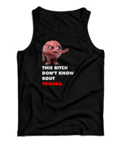 Lil Dicky Brain This Bitch Don't Know Bout Pangea Tank Top