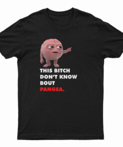 Lil Dicky Brain This Bitch Don't Know Bout Pangea T-Shirt