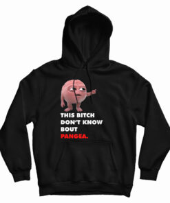 Lil Dicky Brain This Bitch Don't Know Bout Pangea Hoodie