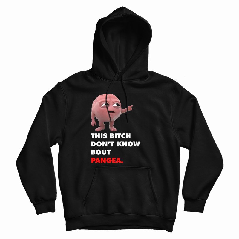Lil Dicky Brain This Bitch Don't Know Bout Pangea Hoodie For UNISEX