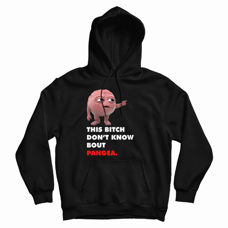 Lil Dicky Brain This Bitch Don't Know Bout Pangea Hoodie