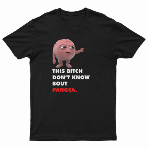 Lil Dicky Brain This Bitch Don't Know Bout Pangea T-Shirt