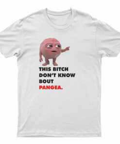 Lil Dicky Brain This Bitch Don't Know Bout Pangea T-Shirt