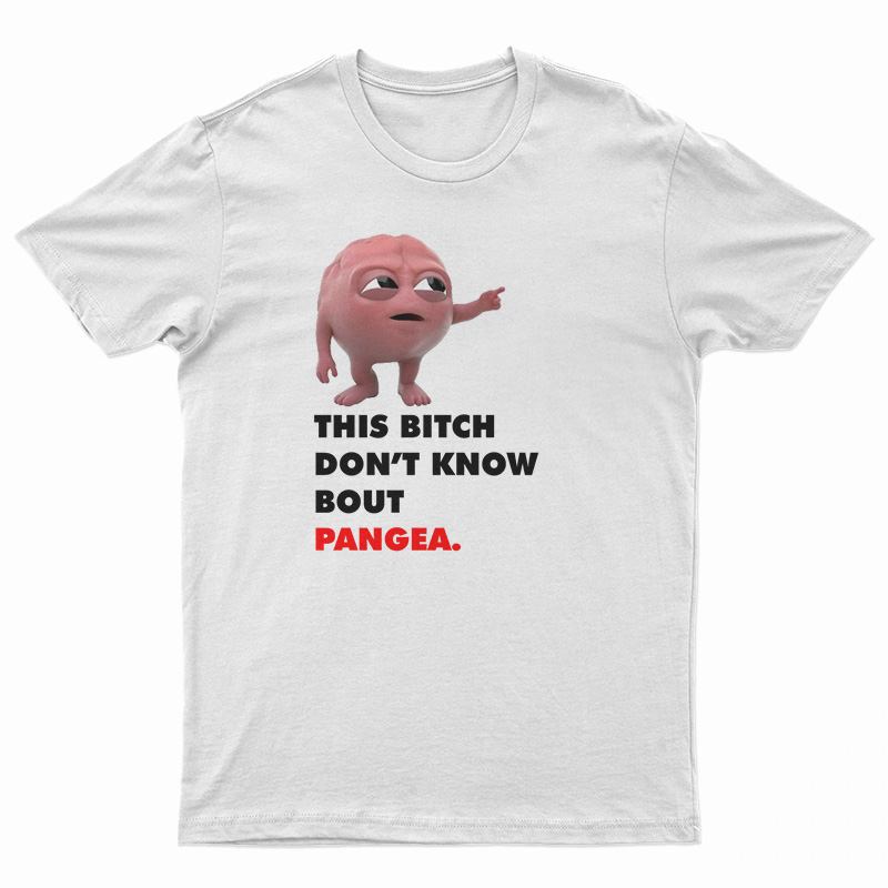 Lil Dicky Brain This Bitch Don't Know Bout Pangea T-Shirt