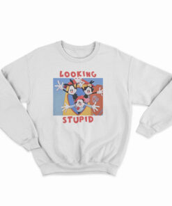 Looking Stupid Animaniacs Sweatshirt
