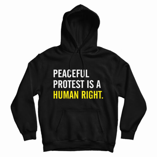 Peaceful Protest Is A Human Right Hoodie