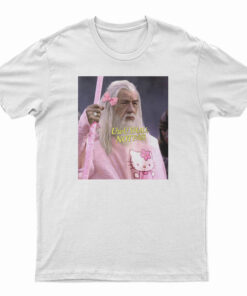 Dumbledore Wednesday We Wear Pink Parody T-Shirt