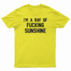 I'm A Ray Of Fucking Sunshine T-Shirt