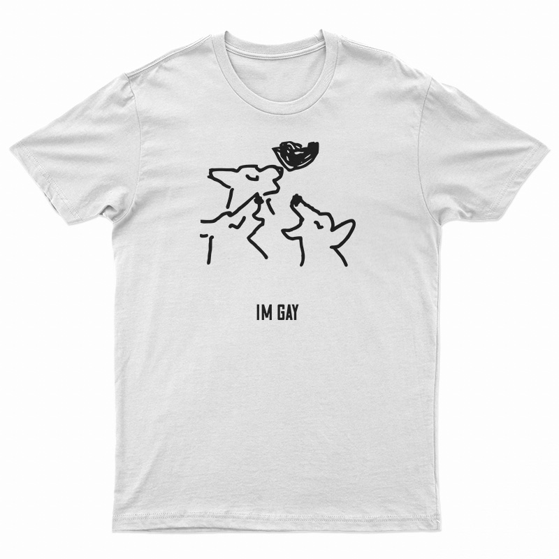 I'm Gay LGBT Funny T-Shirt