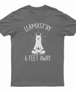 Llamast’ay 6 Feet Away T-Shirt