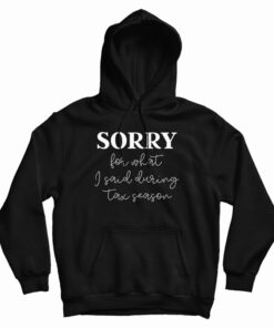 Sorry For What I Said During Tax Season Hoodie
