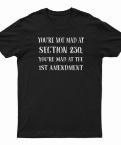 You're Not Mad At Section 230 You're Mad At The 1st Amendment T-Shirt
