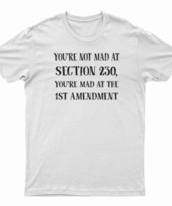 You're Not Mad At Section 230 You're Mad At The 1st Amendment T-Shirt
