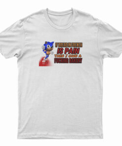 If Bread In French Is Pain Then I Own A Fucking Bakery Sonic Meme T-Shirt