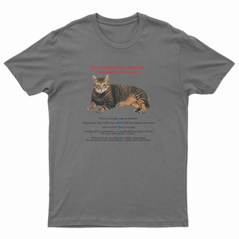 All I Need To Know About Life I Learned From My Cat T-Shirt