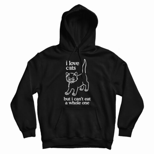 I Love Cats But I Can't Eat A Whole One Hoodie