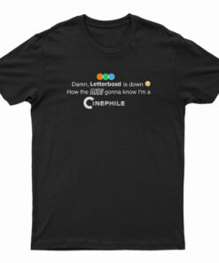 Damn Letterboxd Is Down How The Hoes T-Shirt