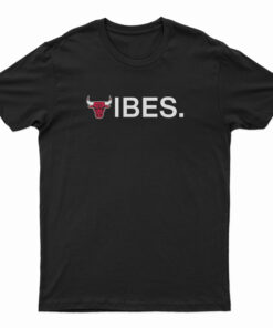 Chicago Bulls Vibes Logo T-Shirt