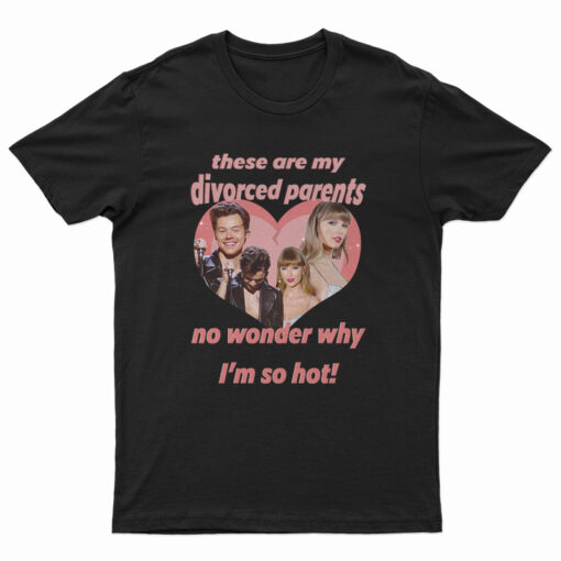 Haylor I Am A Child Of Divorce I’m So Hot T-Shirt
