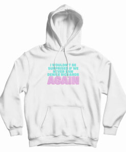 I Wouldn't Be Surprised If We Never Saw Denise Richards Again Hoodie